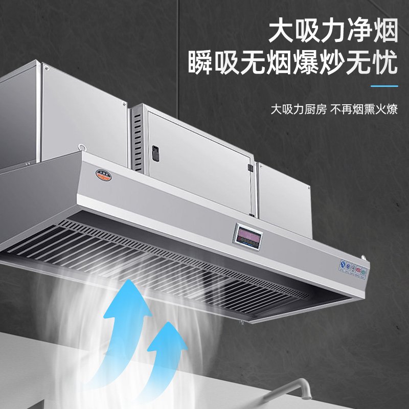 Commercial Kitchen Fume Purifi - Range Commercial Kitchen 评论和价格